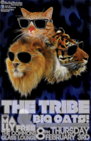 The Tribe & Big Cats!